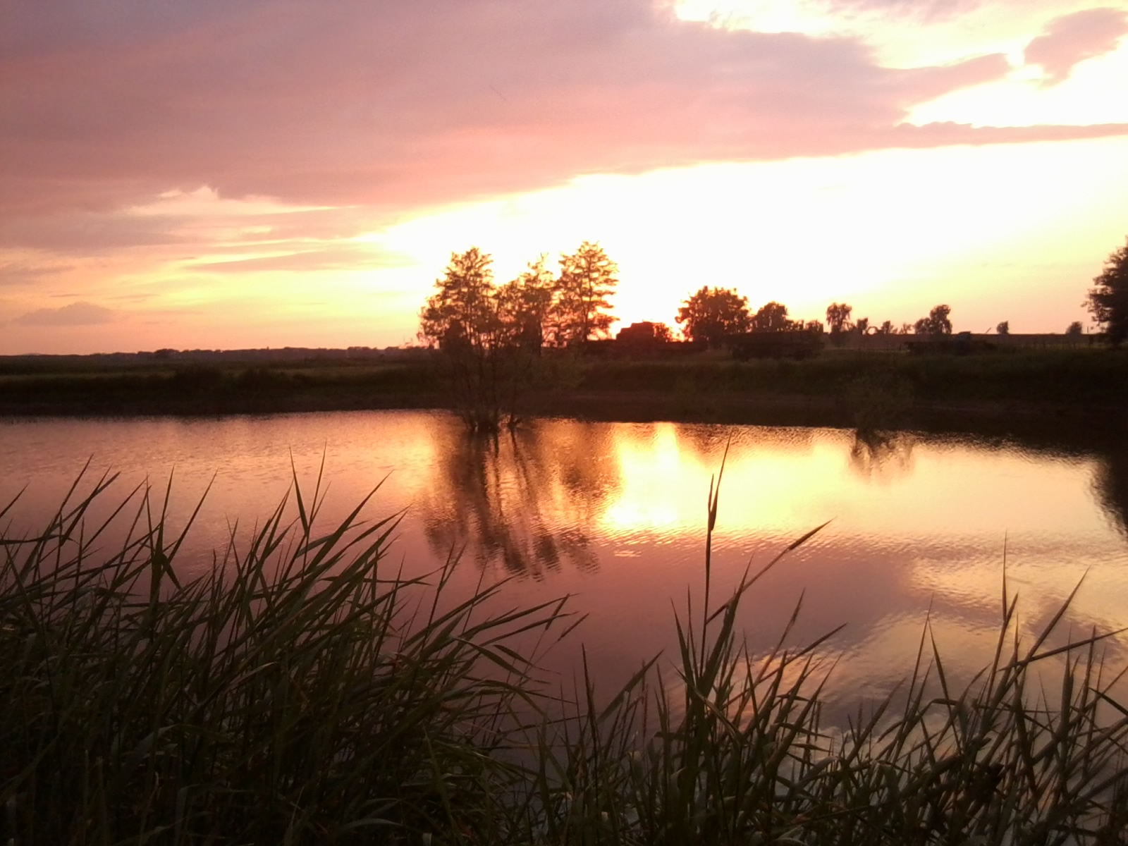 Wieczór nad wodą, 2011